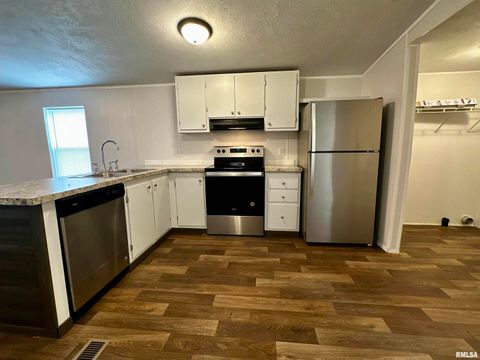 Tiny photo for 806 & 808 BOYD Street, Eldorado, IL 62930 (MLS # QC4269425)