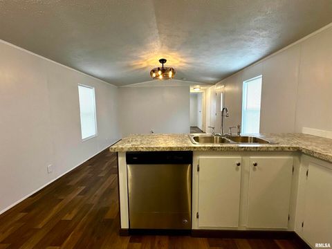 Tiny photo for 806 & 808 BOYD Street, Eldorado, IL 62930 (MLS # QC4269425)