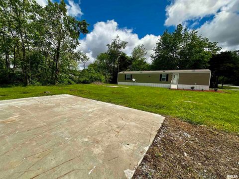 Tiny photo for 806 & 808 BOYD Street, Eldorado, IL 62930 (MLS # QC4269425)