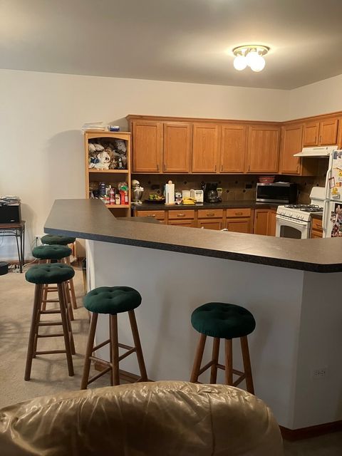 Tiny photo for 19246 104th Avenue, Mokena, IL 60448 (MLS # 12503879)