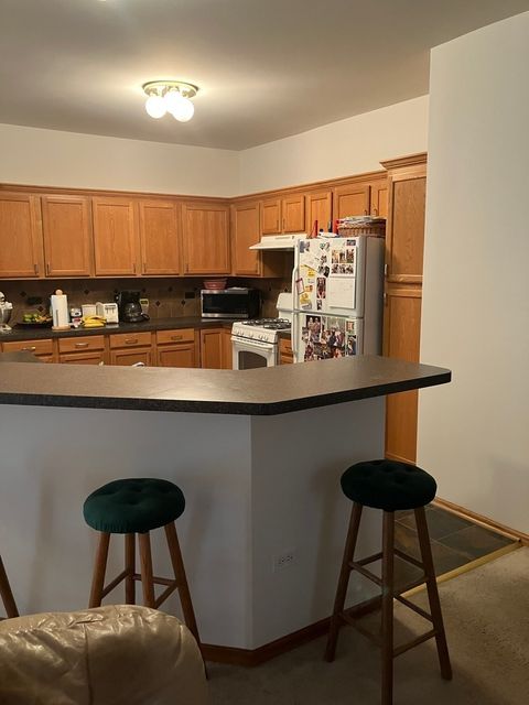 Tiny photo for 19246 104th Avenue, Mokena, IL 60448 (MLS # 12503879)