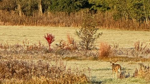 Tiny photo for 1834 Marne Road, Bolingbrook, IL 60490 (MLS # 12516838)