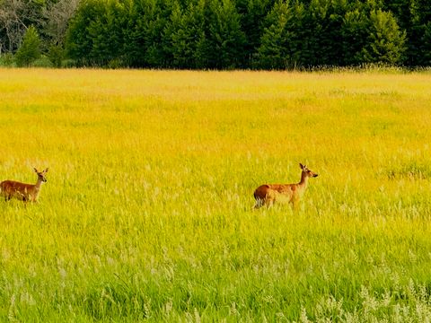 Tiny photo for 1834 Marne Road, Bolingbrook, IL 60490 (MLS # 12516838)