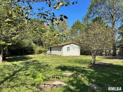 Tiny photo for 10647 PASADENA Road, Carbondale, IL 62901 (MLS # EB460136)