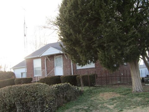 Tiny photo for 423 3rd Street, Rosiclare, IL 62982 (MLS # 12589009)