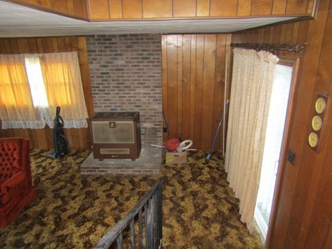 Tiny photo for 423 3rd Street, Rosiclare, IL 62982 (MLS # 12589009)