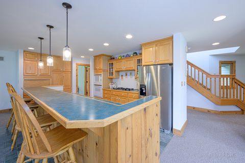 Tiny photo for 4 S Acorn Court, Galena, IL 61036 (MLS # 12377462)