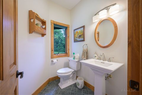 Tiny photo for 4 S Acorn Court, Galena, IL 61036 (MLS # 12377462)