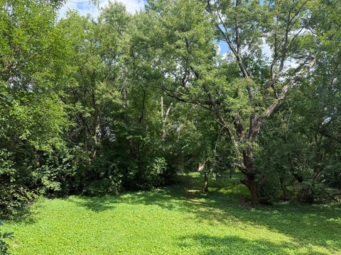 Tiny photo for 159 Thomas Lane, New Lenox, IL 60451 (MLS # 12748444)