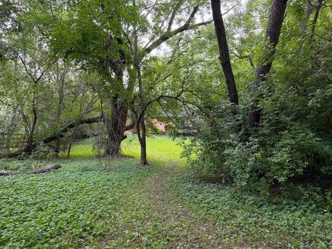 Tiny photo for 159 Thomas Lane, New Lenox, IL 60451 (MLS # 12748444)