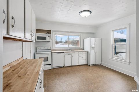 Tiny photo for 707 W PLATT Street, Maquoketa, IA 52060 (MLS # QC4269938)