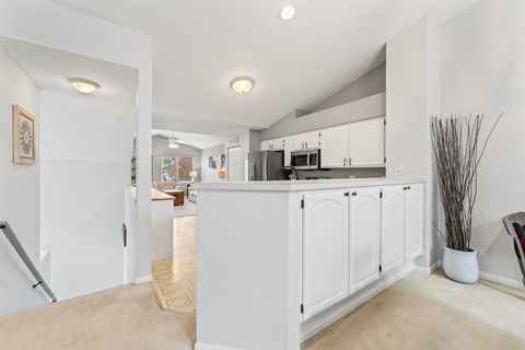 Tiny photo for 217 Sierra Pass Drive, Schaumburg, IL 60194 (MLS # 12499150)