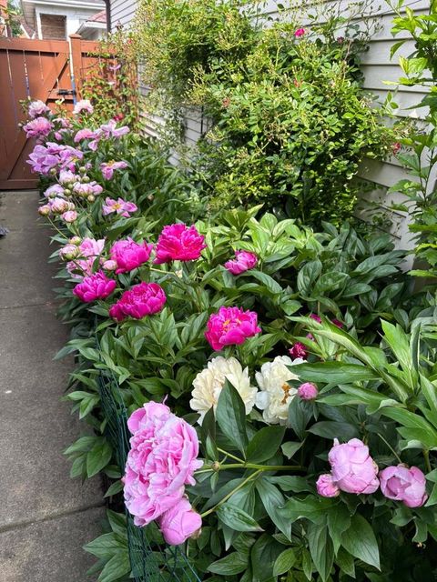 Tiny photo for 6042 N Mason Avenue, Chicago, IL 60646 (MLS # 12609533)