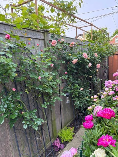 Tiny photo for 6042 N Mason Avenue, Chicago, IL 60646 (MLS # 12609533)