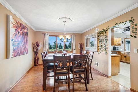 Tiny photo for 21851 Helen Drive, Plainfield, IL 60544 (MLS # 12522500)