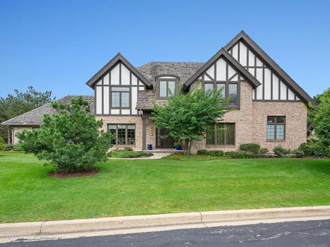 802 Kenmare Drive Burr Ridge IL 60527