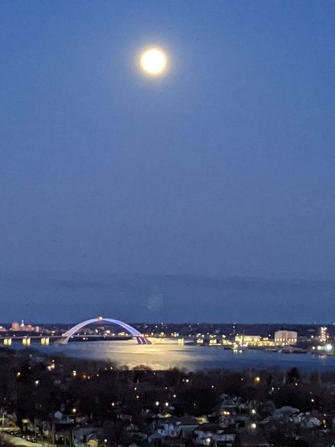 Tiny photo for 1800 7th Street #11C, East Moline, IL 61244 (MLS # 12558941)