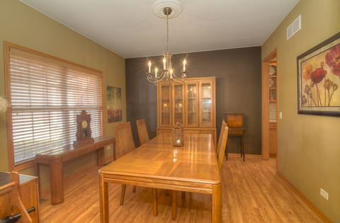 Tiny photo for 515 Madison Lane, Elgin, IL 60123 (MLS # 12485697)