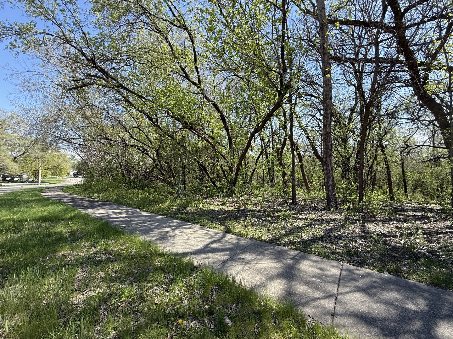 1716-1728-1740 Oak Drive