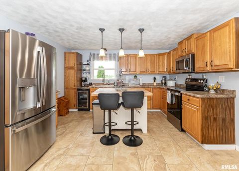 Tiny photo for 11696 County Highway 19 Highway, Cambridge, IL 61238 (MLS # 12549732)