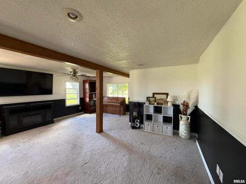 Tiny photo for 11696 County Highway 19 Highway, Cambridge, IL 61238 (MLS # 12549732)