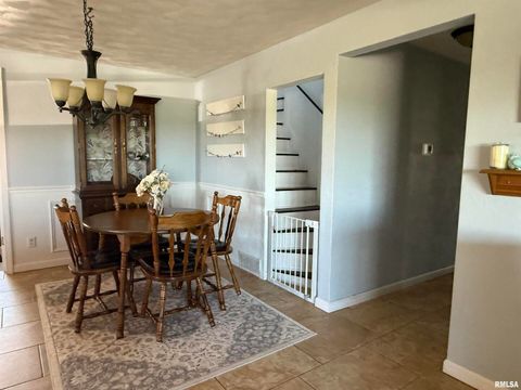 Tiny photo for 11696 County Highway 19 Highway, Cambridge, IL 61238 (MLS # 12549732)