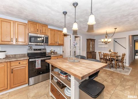 Tiny photo for 11696 County Highway 19 Highway, Cambridge, IL 61238 (MLS # 12549732)