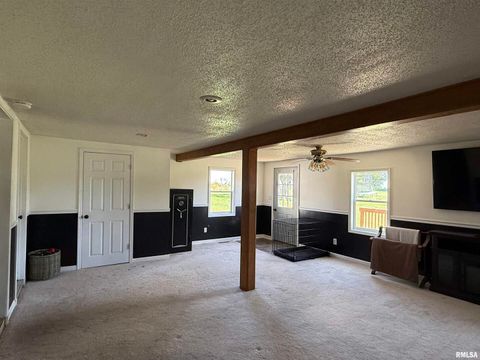 Tiny photo for 11696 County Highway 19 Highway, Cambridge, IL 61238 (MLS # 12549732)