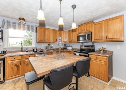 Tiny photo for 11696 County Highway 19 Highway, Cambridge, IL 61238 (MLS # 12549732)