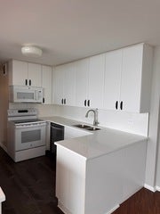 505 N Lake Shore Drive 1407-1408