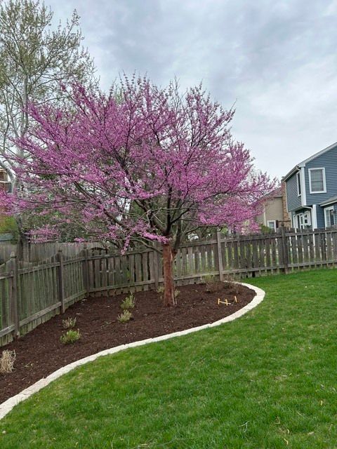 Tiny photo for 1846 Baltimore Drive, Elk Grove Village, IL 60007 (MLS # 12620753)