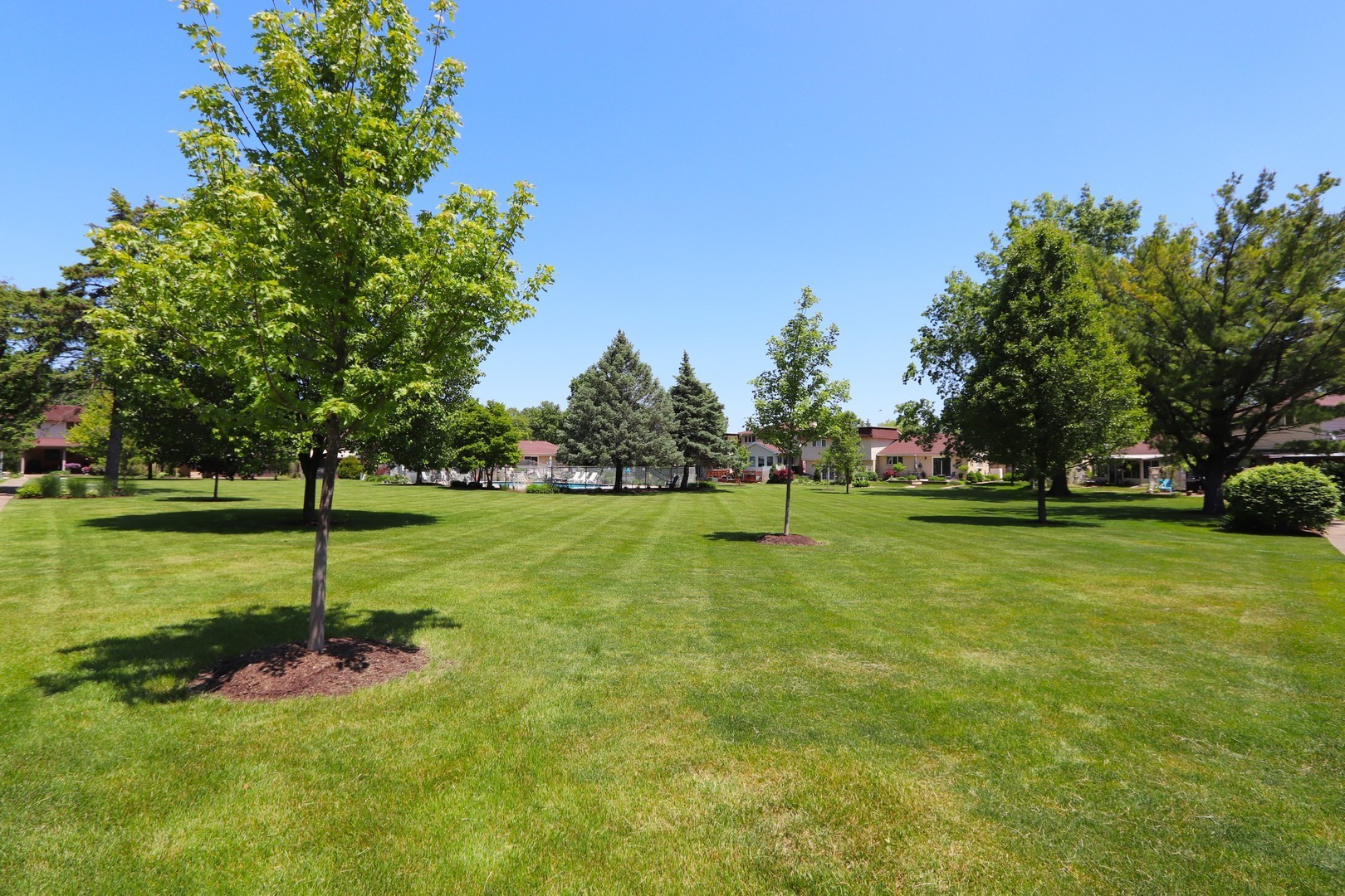 110 Meadowbrook Lane 110