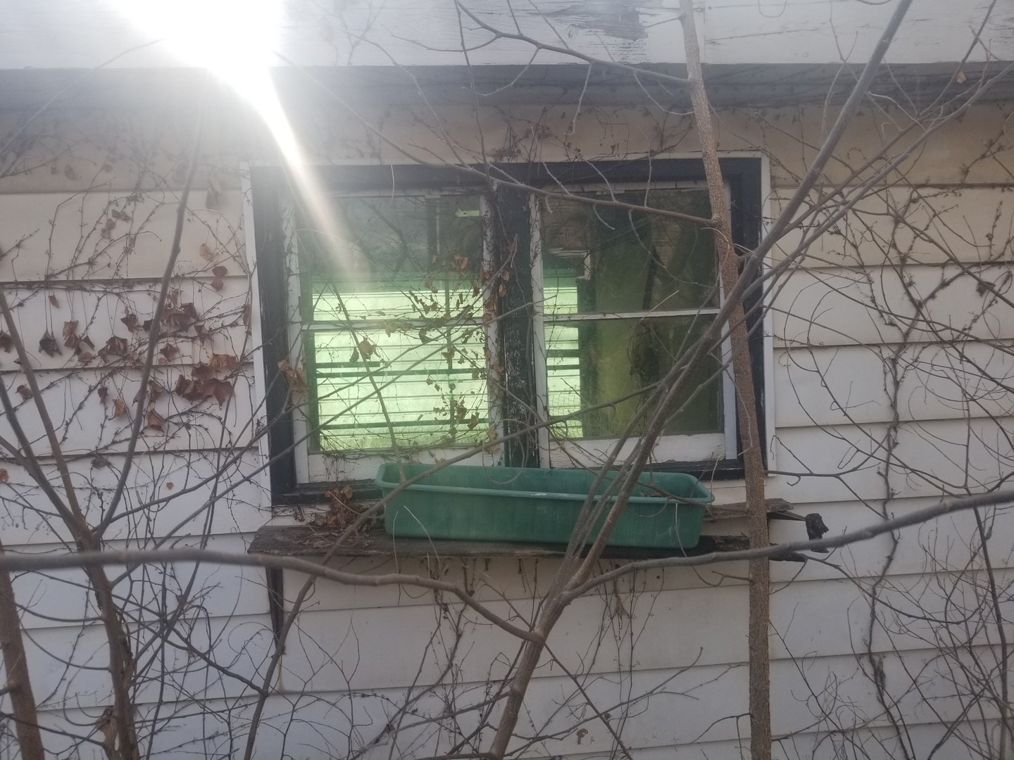 14228 S Stewart Avenue