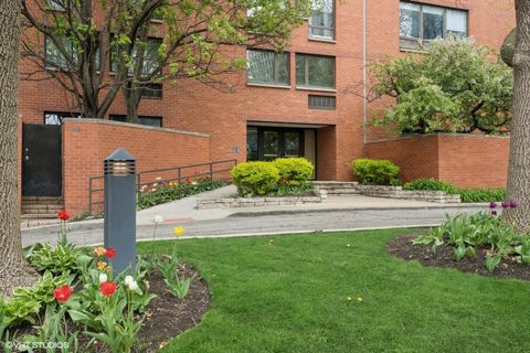 1169 S Plymouth Court 103 Chicago IL 60605