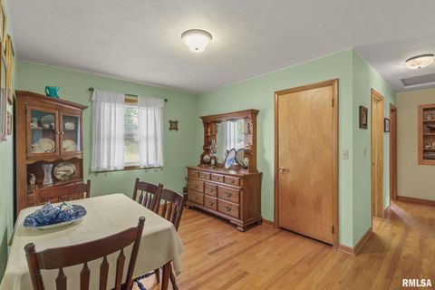 Tiny photo for 4123 N LINWOOD Avenue, Davenport, IA 52806 (MLS # 12592138)