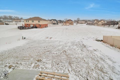 Tiny photo for 26048 County Fair Drive, Monee, IL 60449 (MLS # 12538522)