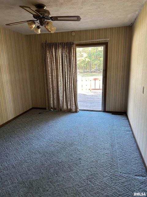 Tiny photo for 7863 Idyle Wild Street, Duquoin, IL 62832 (MLS # EB459993)