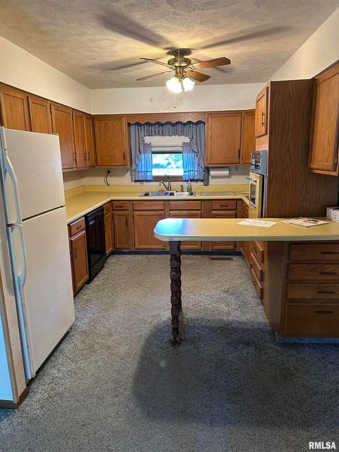 Tiny photo for 7863 Idyle Wild Street, Duquoin, IL 62832 (MLS # EB459993)