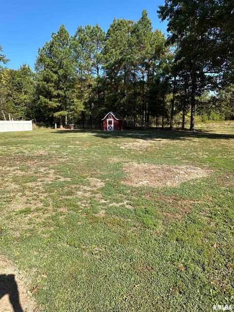 Tiny photo for 7863 Idyle Wild Street, Duquoin, IL 62832 (MLS # EB459993)