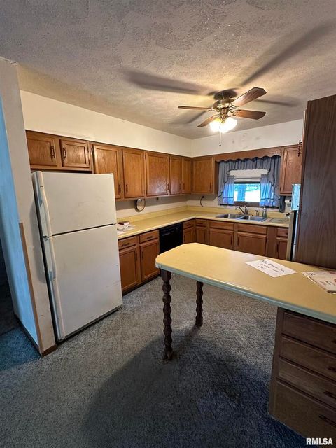 Tiny photo for 7863 Idyle Wild Street, Duquoin, IL 62832 (MLS # EB459993)