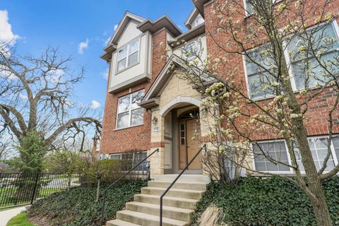 112 Enclave Drive Mount Prospect IL 60056