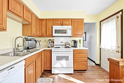 Tiny photo for 3045 20th Place, North Chicago, IL 60064 (MLS # 12480996)