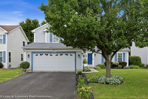 Photo of 12208 S Shagbark Drive, Plainfield, IL 60585 (MLS # 12687629)