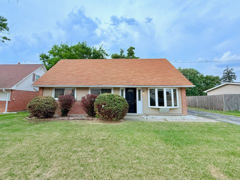 163 W RAYE Drive Chicago Heights IL 60411