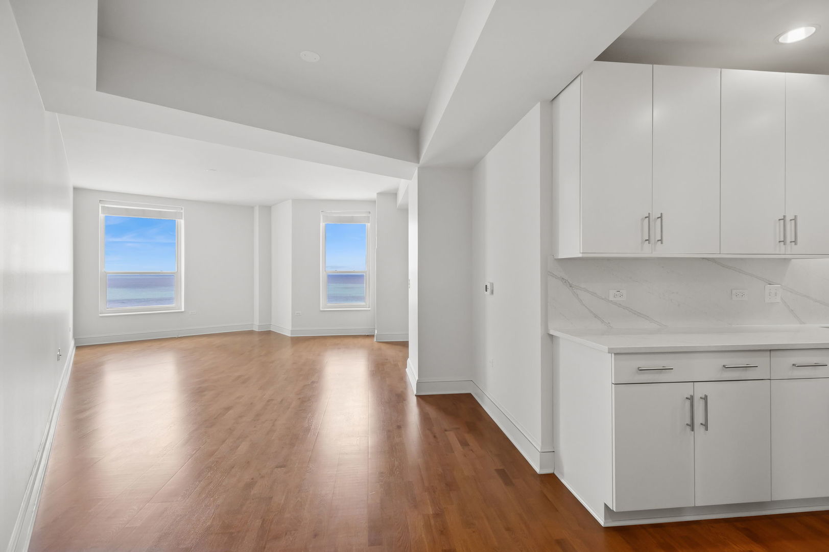 850 N Lake Shore Drive 1506