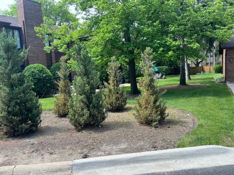 Tiny photo for 1016 Rene Court, Park Ridge, IL 60068 (MLS # 12656221)