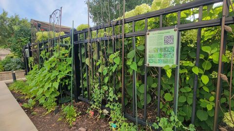 Tiny photo for 3930 N Pine Grove Avenue #2313, Chicago, IL 60613 (MLS # 12506826)