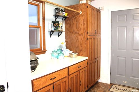 Tiny photo for 4786 KELLER Road, Iuka, IL 62849 (MLS # EB460665)