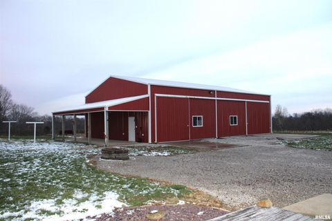 Tiny photo for 4786 KELLER Road, Iuka, IL 62849 (MLS # EB460665)