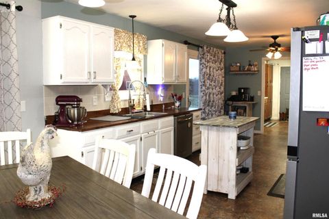 Tiny photo for 4786 KELLER Road, Iuka, IL 62849 (MLS # EB460665)